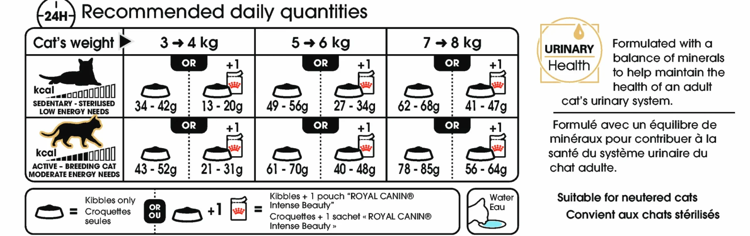 Kattmat Adult Ragdoll 2kg>Royal Canin Clearance