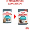 Kattmat Adult Urinary Care Pouches Gravy Bitar i sås 12x85g>Royal Canin Best