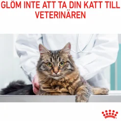 Kattmat Adult Urinary Care Pouches Gravy Bitar i sås 12x85g><noscript><img width=