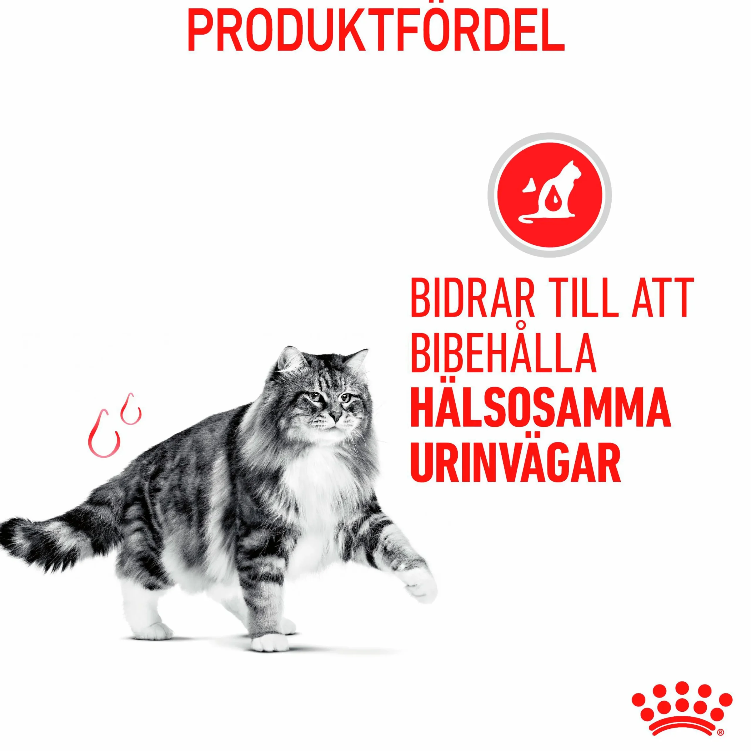 Kattmat Adult Urinary Care 2kg>Royal Canin Clearance