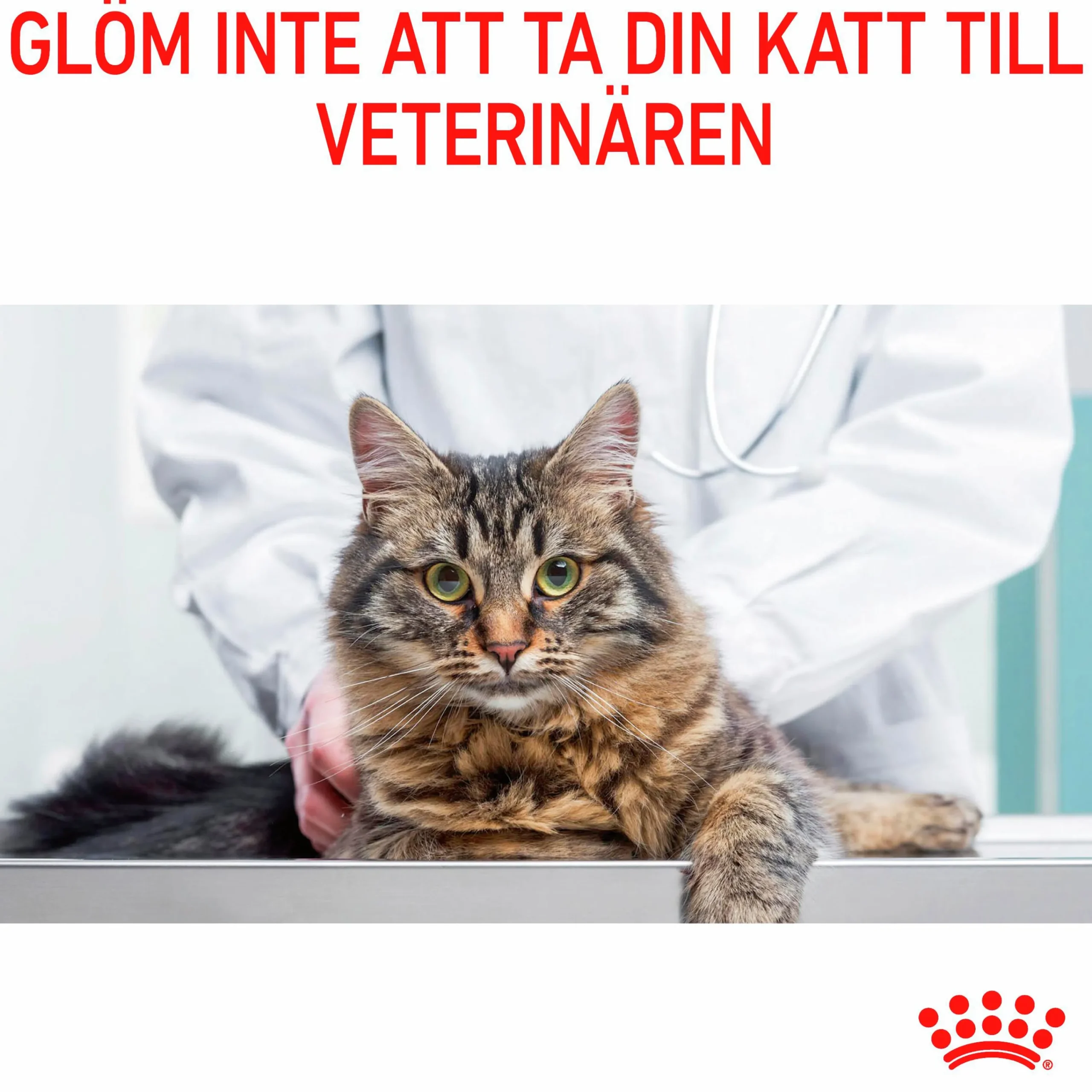 Kattmat Adult Urinary Care 2kg>Royal Canin Clearance