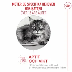 Kattmat Agening 15+ 2kg><noscript><img width=
