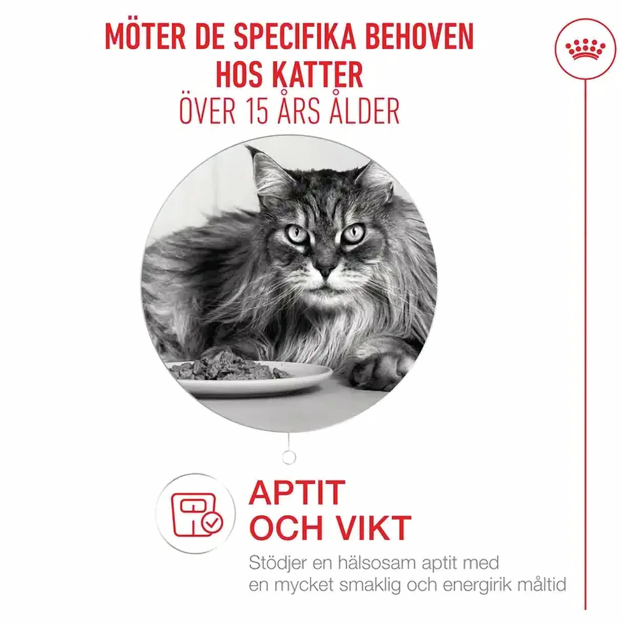 Kattmat Agening 15+ 2kg>Royal Canin Hot