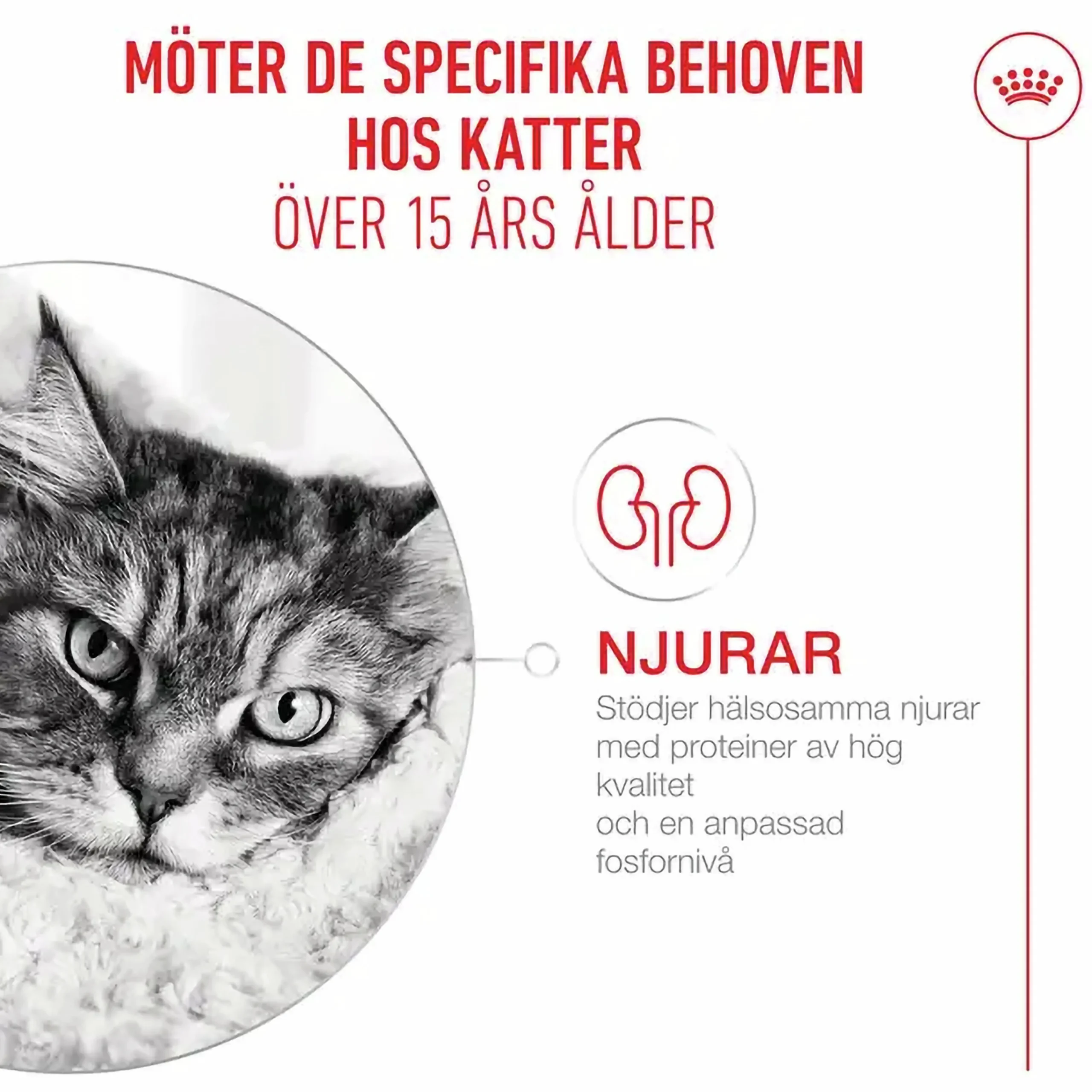 Kattmat Agening 15+ 2kg>Royal Canin Hot