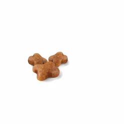 Kattmat Kitten 10kg><noscript><img width=