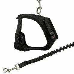 Kattsele Y-modell med koppel><noscript><img width=
