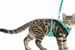 Kattsele Y-modell med koppel><noscript><img width=