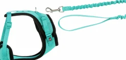 Kattsele Y-modell med koppel><noscript><img width=
