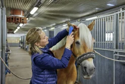 Klippmaskin CB35 häst/husdjur><noscript><img width=
