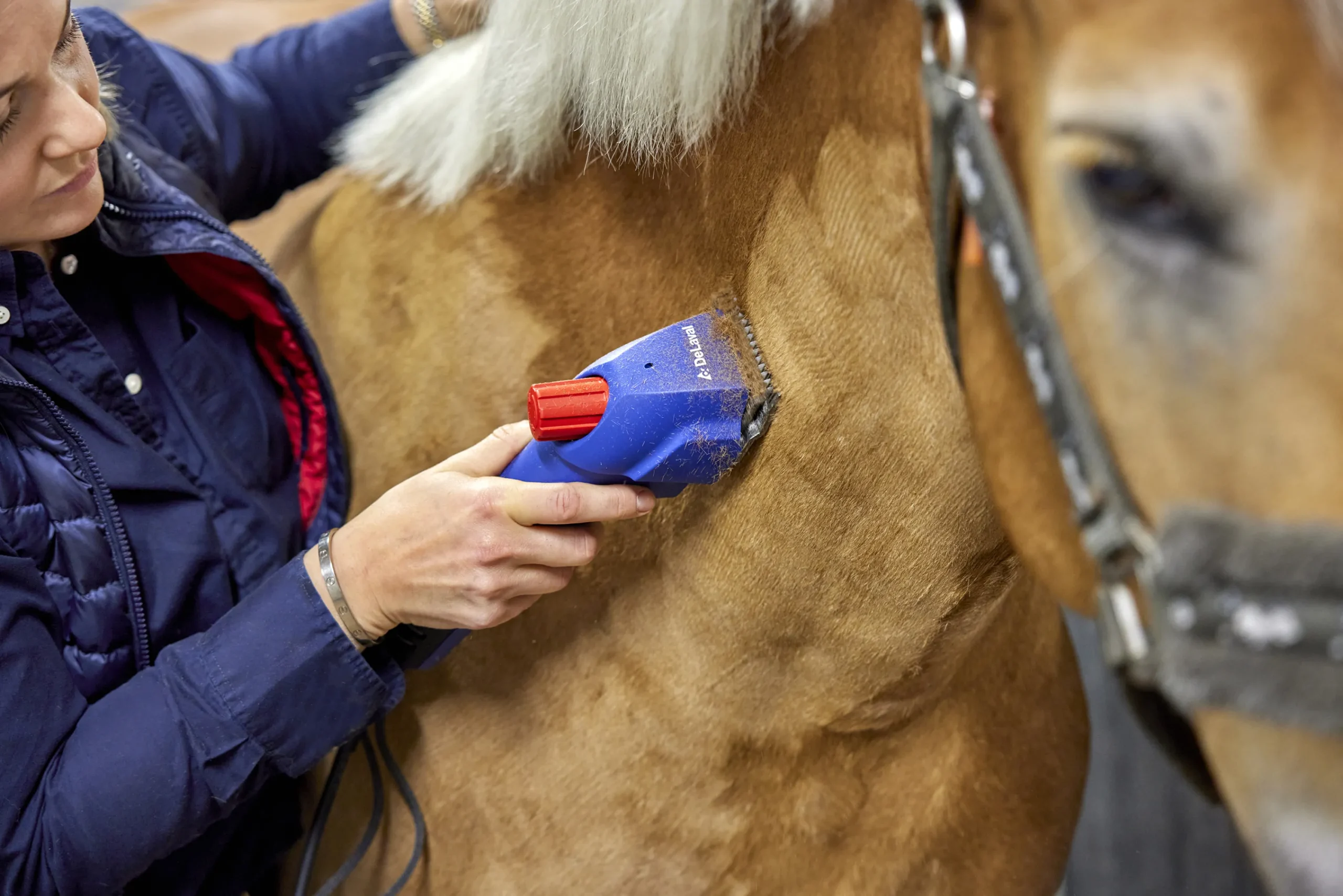 Klippmaskin HCP65 häst>DeLaval