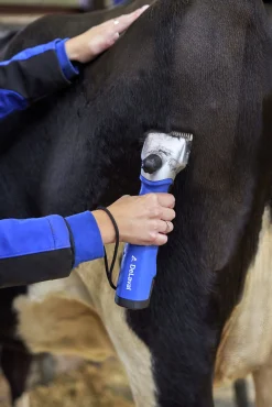 Klippmaskin R2 nöt/häst>DeLaval Sale