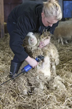 Klippmaskin S250 får/nöt>DeLaval Sale