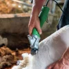 Klippmaskin Constanta4 får 400W>Kerbl Discount