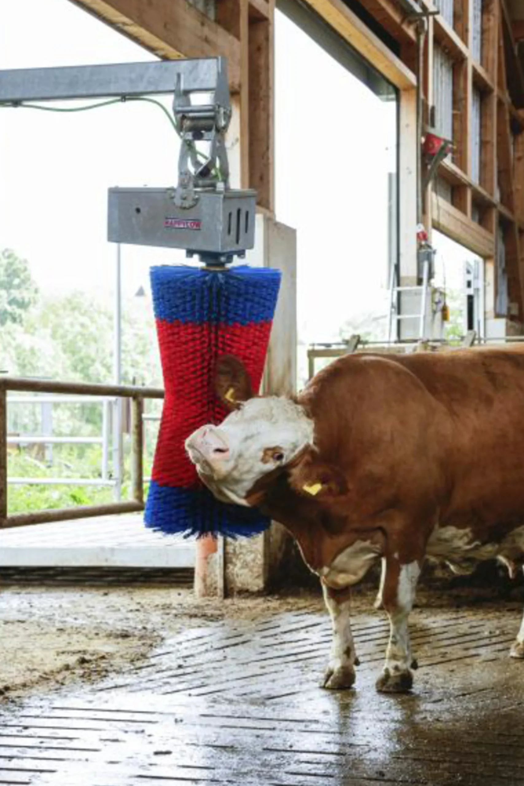 Koborste HappyCow Maxiswing>Kerbl Outlet