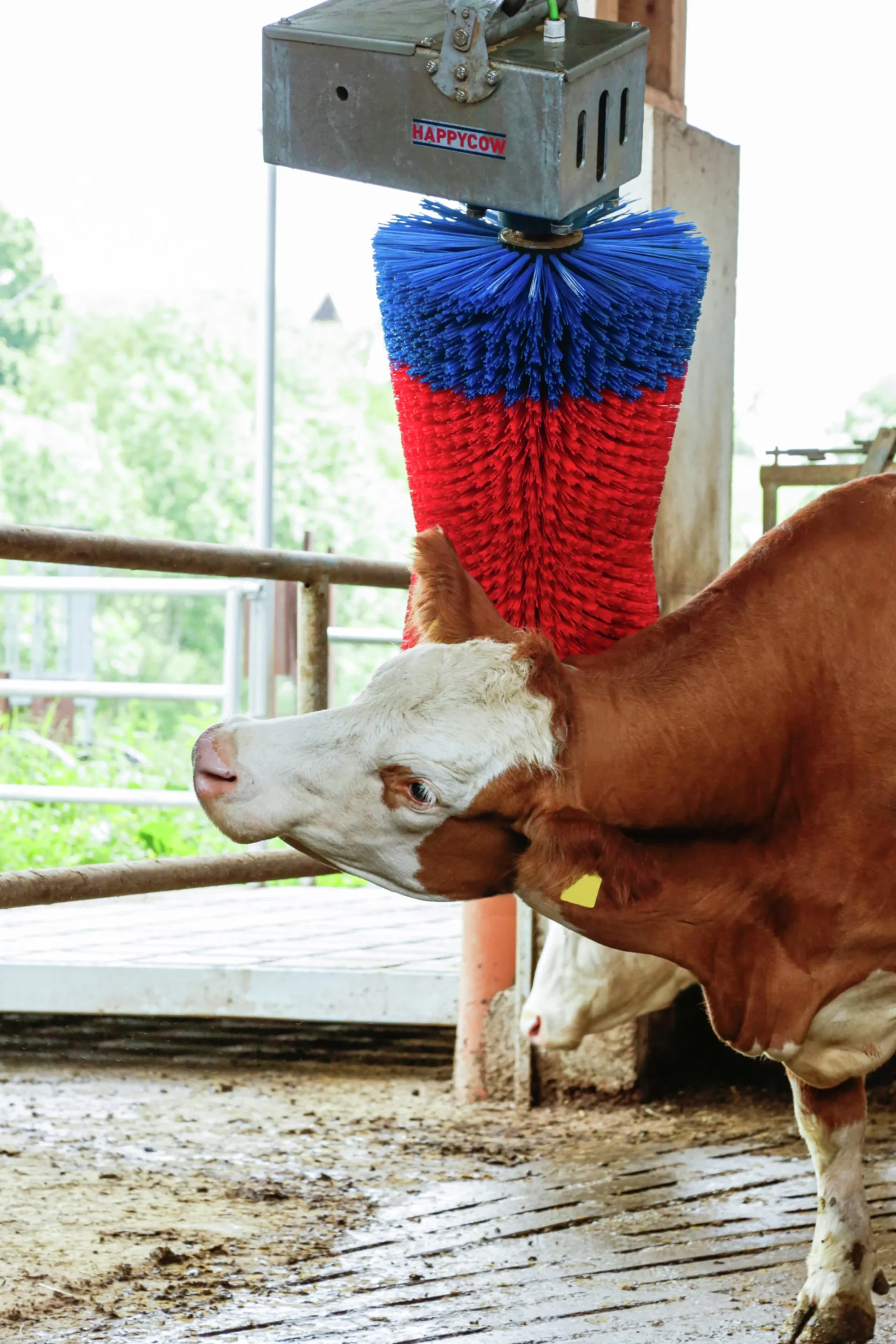 Koborste HappyCow Maxiswing>Kerbl Outlet