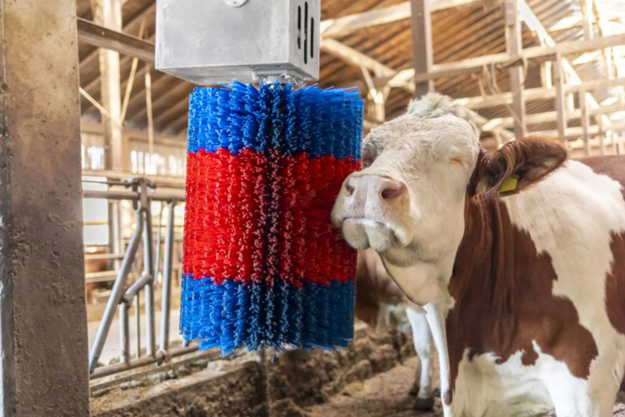 Koborste HappyCow Midiswing>Kerbl Clearance