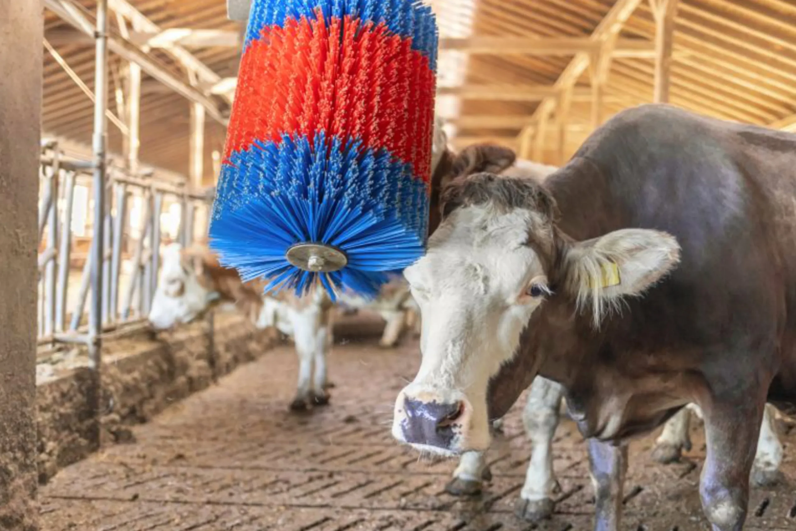 Koborste HappyCow Midiswing>Kerbl Clearance