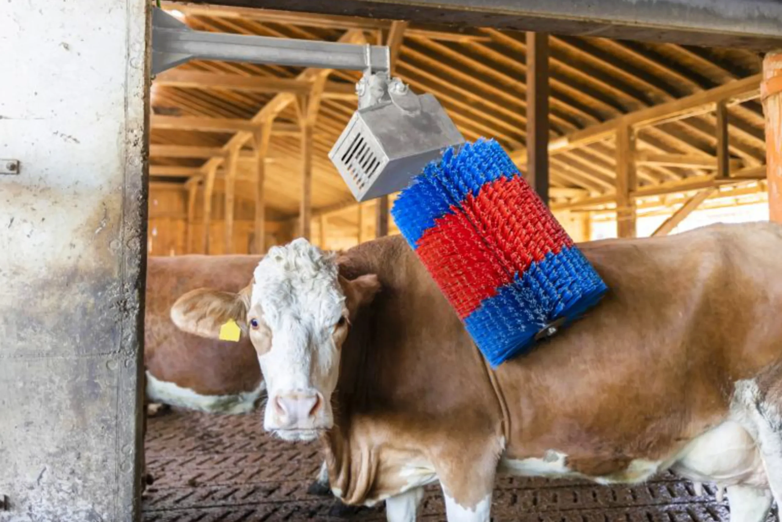 Koborste HappyCow Midiswing>Kerbl Clearance