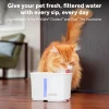 Kolfilter Ion-X 4-p>Petsafe Clearance