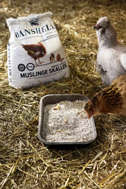 Kosttillskott Snäckskal 15kg>Varumärken Online