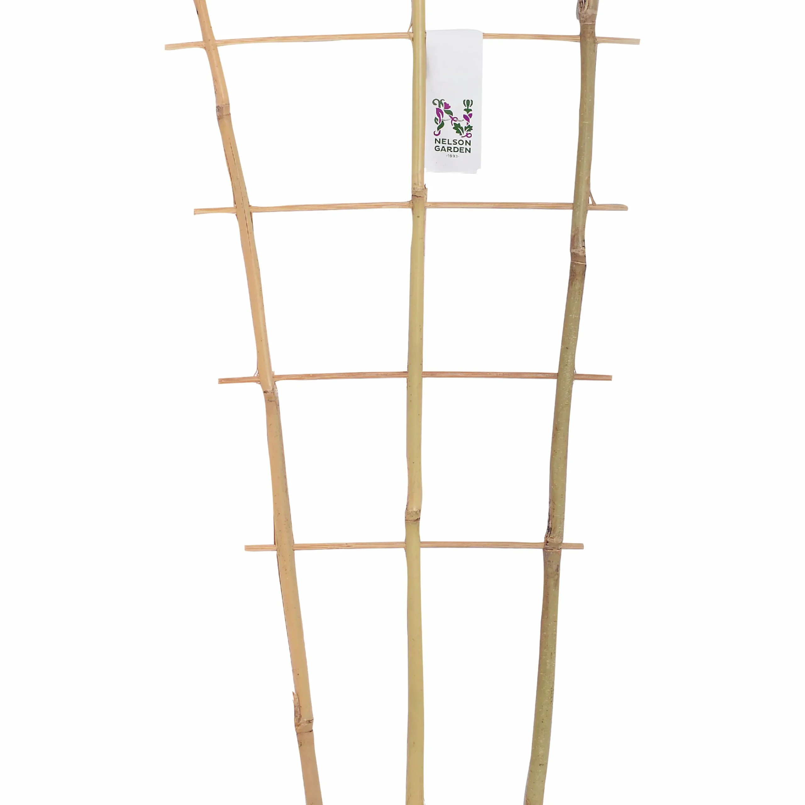 Krukspaljé Bambu 45cm>Nelson Garden Outlet
