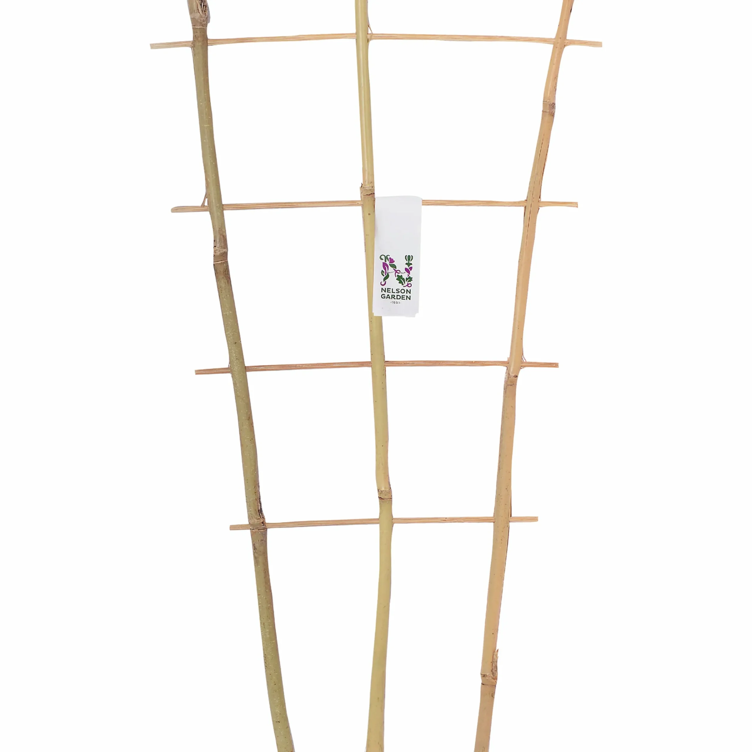 Krukspaljé Bambu 60cm>Nelson Garden Outlet