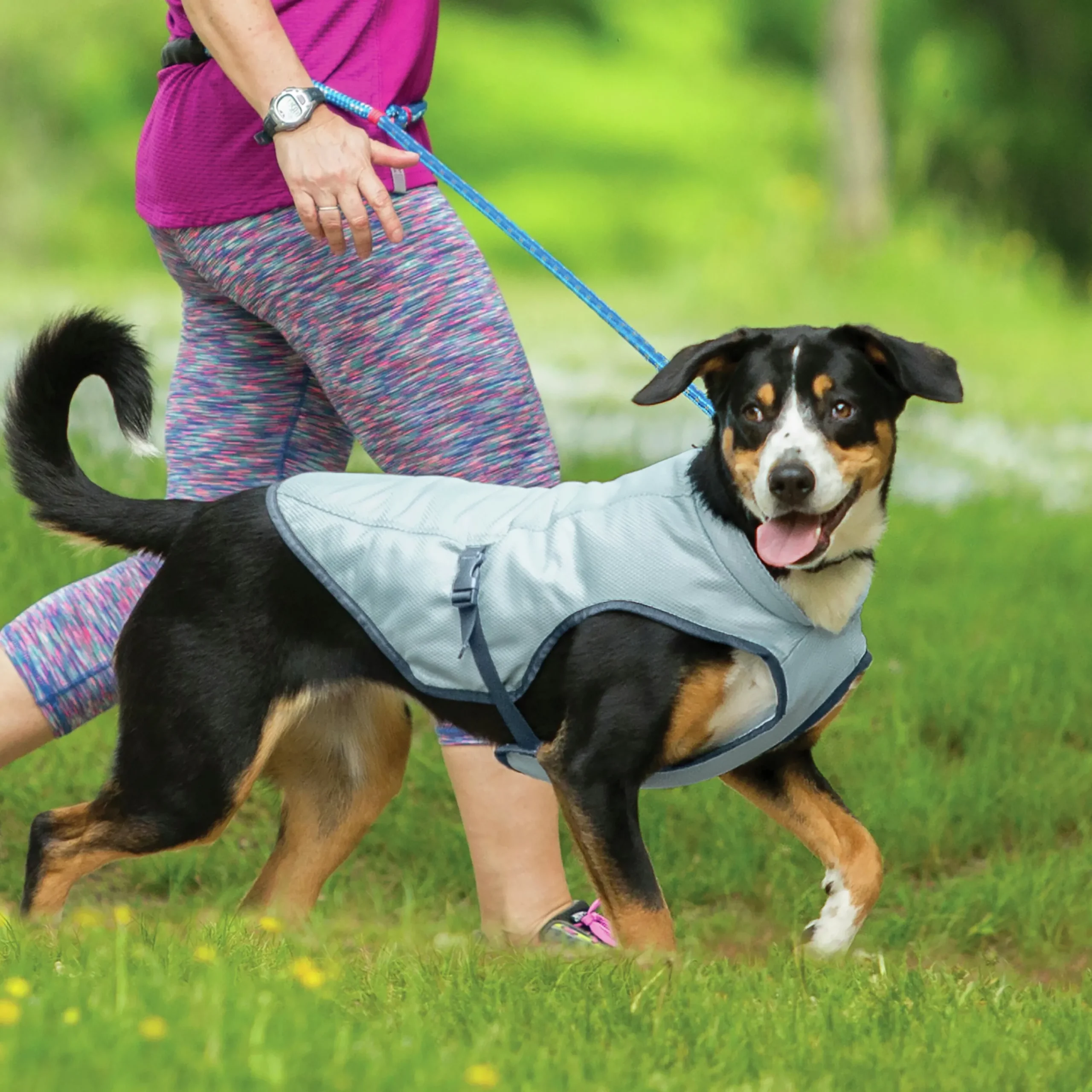 Kyvät Hund Core Grå>Kurgo Discount