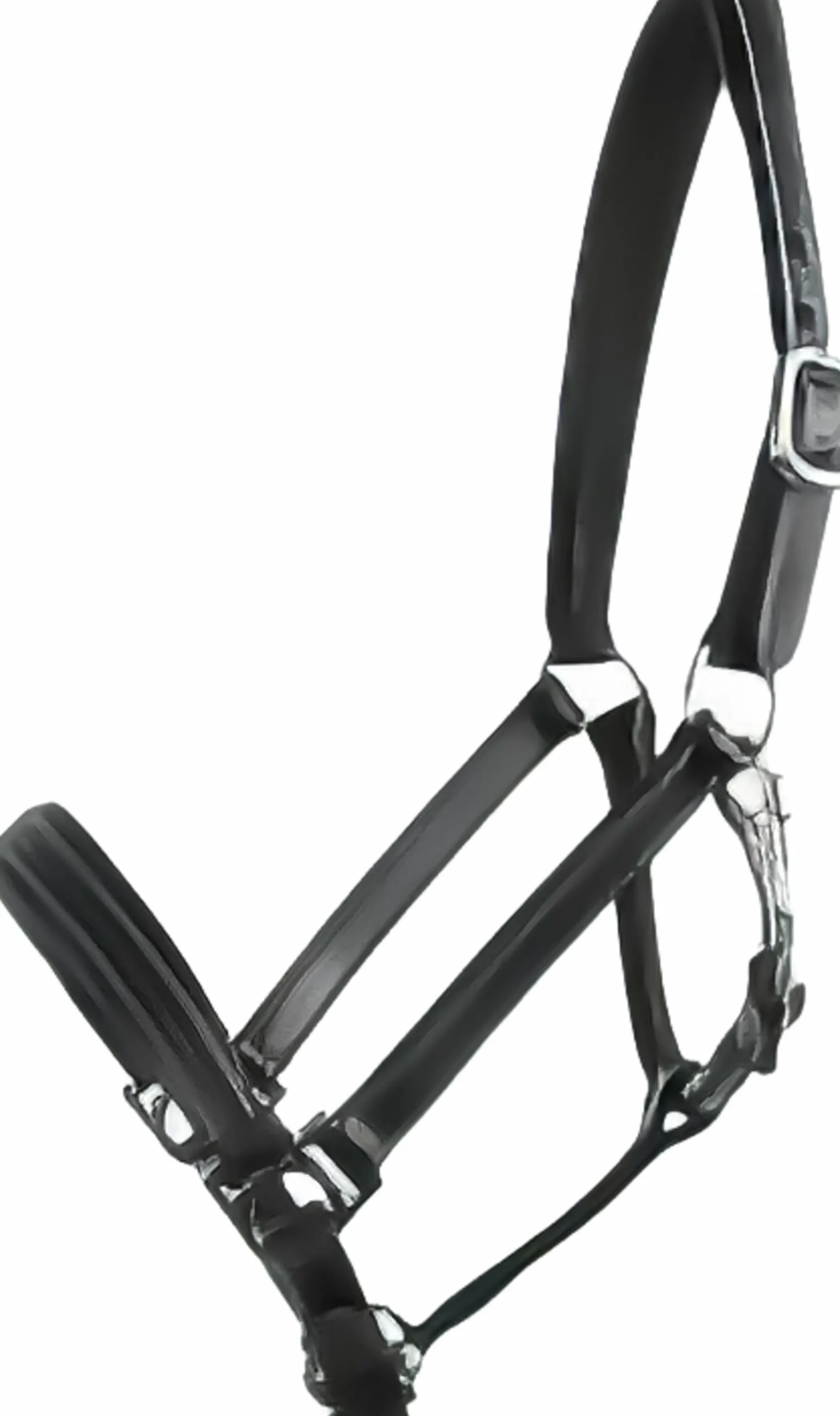 Lädergrimma Scandi>Hansbo Sport Sale