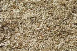 Linströ 20kg><noscript><img width=