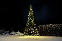 Ljusgran Glimma inkl stång LED App 4m>Formenta Sale