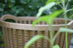Lövkorg Bruk Ergo Återvunnen plast 55L><noscript><img width=