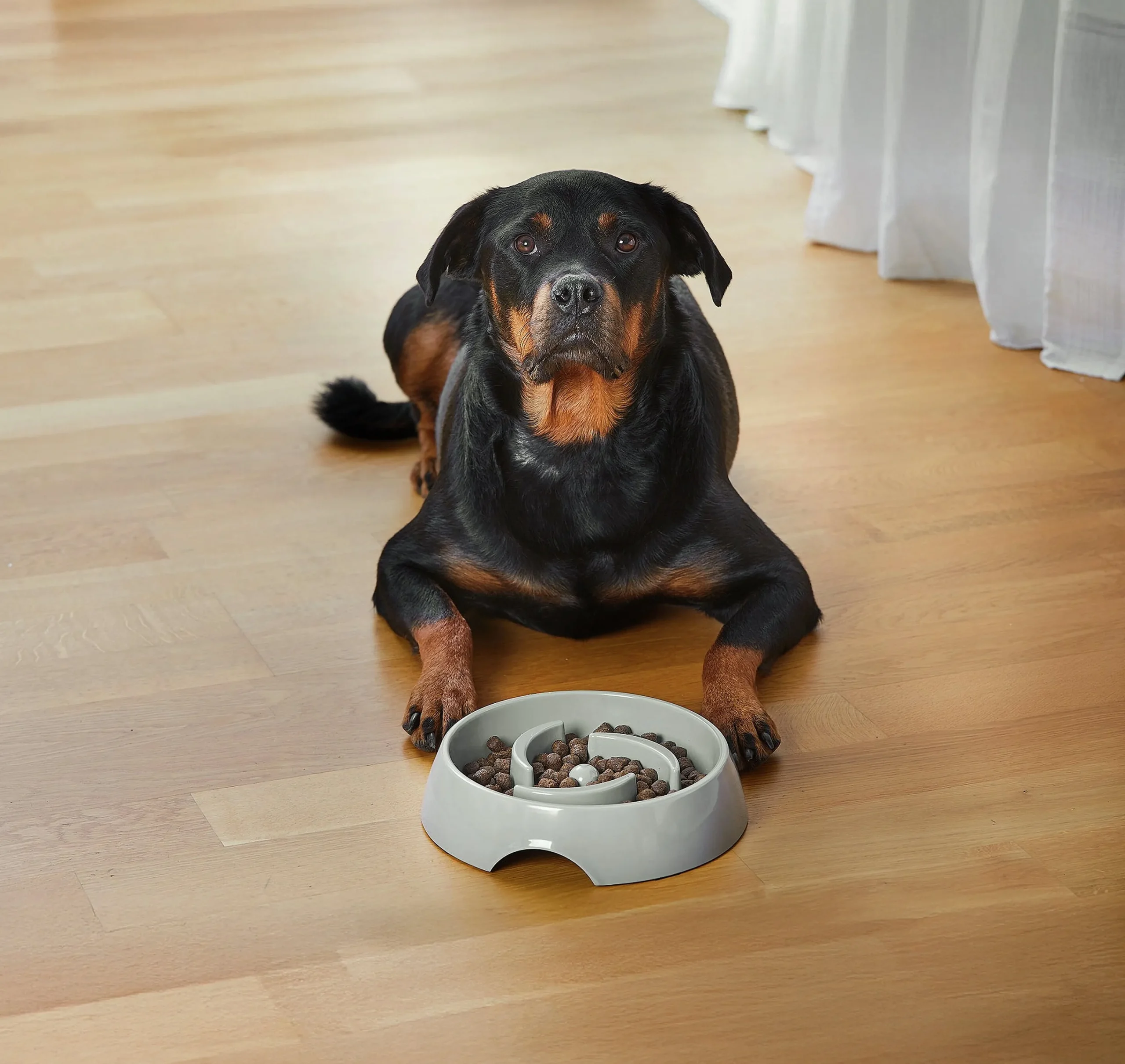 Matskål Alva Slow Feed>Dogman Outlet