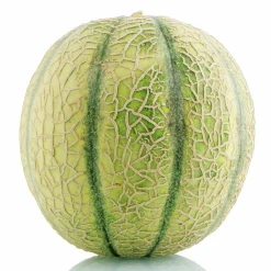 Melon lat. Cucumis melo 'Harvest King'>Mäster Grön New