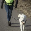 Midjebälte Emmi Svart>Dogman Hot