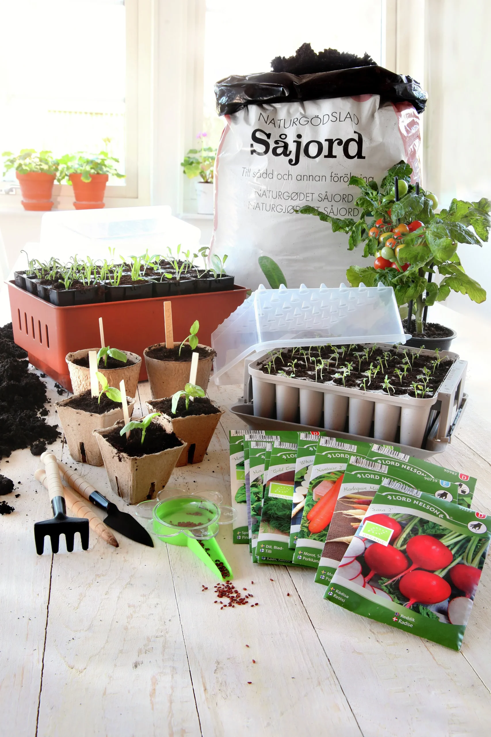 Minidrivhus Rootmaster Brun 19,5x29x21cm>Nelson Garden Outlet