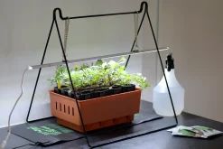 Minidrivhus Rootmaster Brun 19,5x29x21cm><noscript><img width=