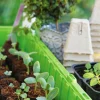 Minidrivhus Window m 4x6st krukceller 47x16cm>Nelson Garden Hot