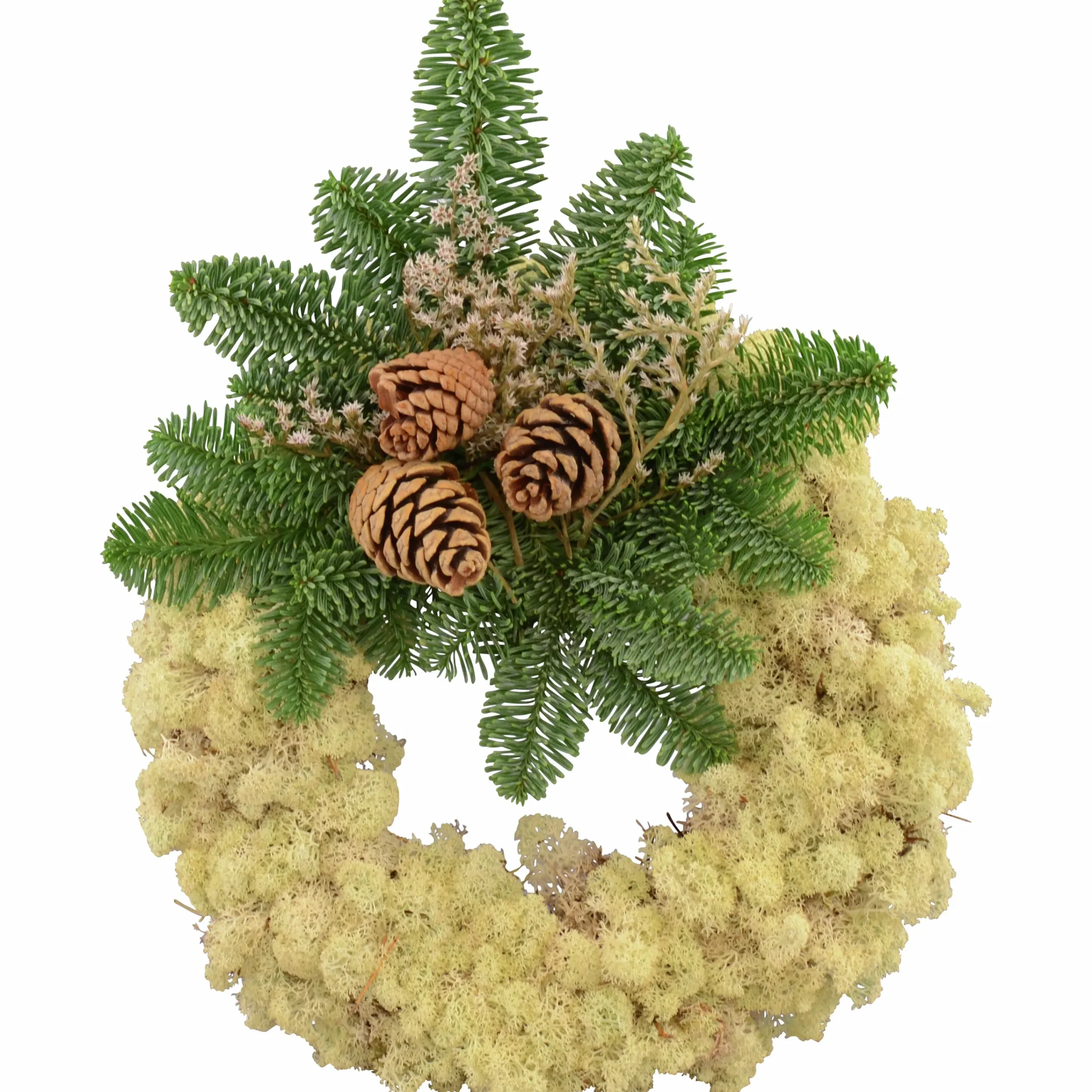Mosskrans Dekorerad 25cm>Mäster Grön Clearance