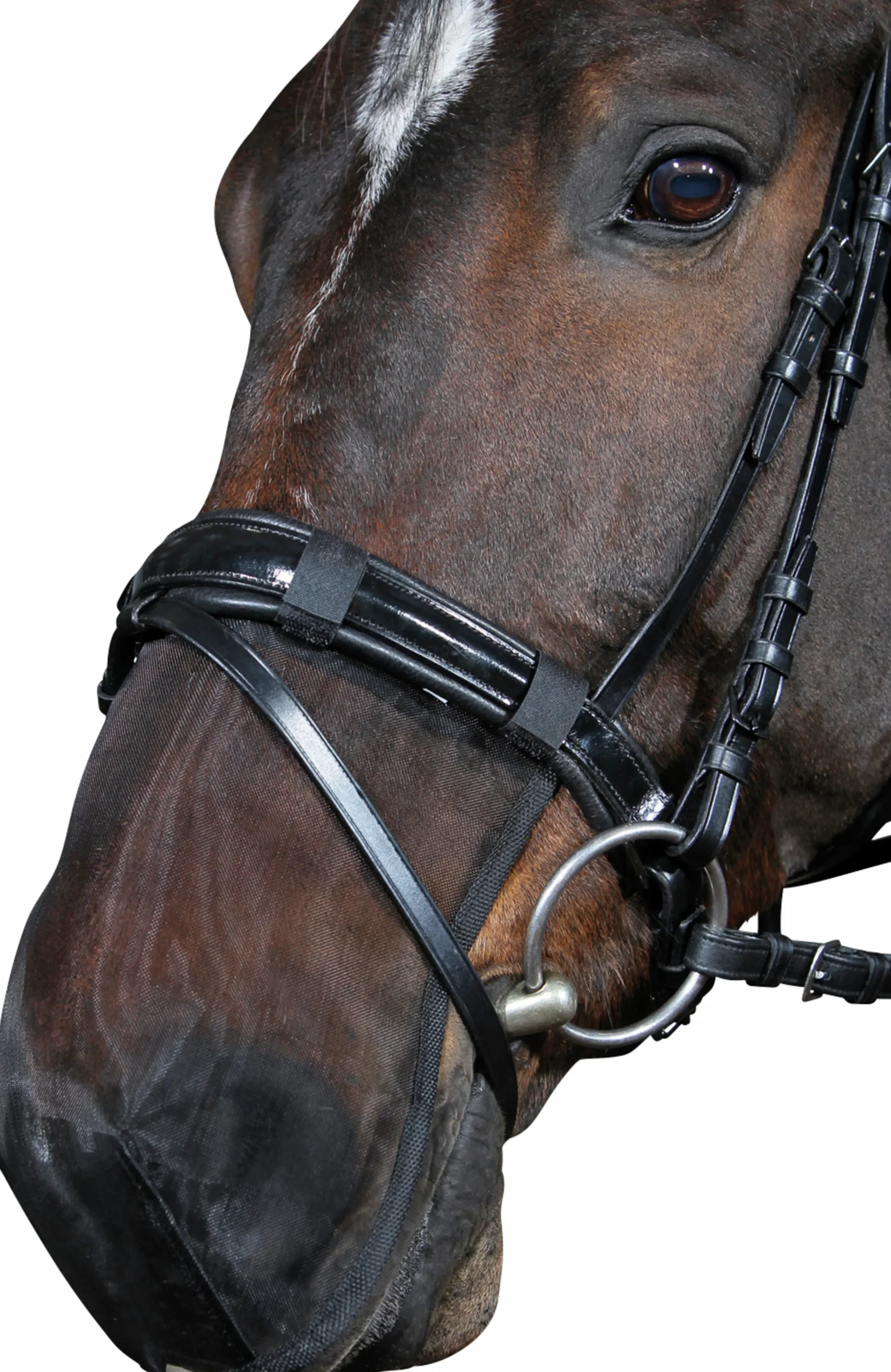 Mulskydd Svart Full>Horseguard Sale