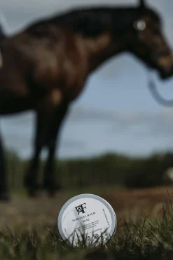 Multisalva 150ml>Fair Horse Care Hot