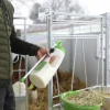 Nappflaska Shoof till kalv Speedy Drencher 2,5L>Shoof International Sale