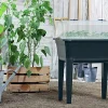 Odlingsbänk med lock Ecoline 36,8x74,6x77,7cm>Respana Hot