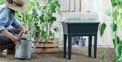 Odlingsbänk med lock Ecoline 36,8x74,6x77,7cm>Respana Hot