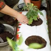 Odlingssäck Hasselfors med jord 40L>Hasselfors Garden Hot