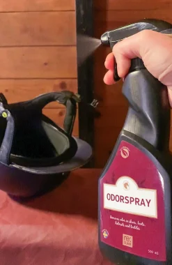 Odörspray Spray 500ml>Re:claim Best
