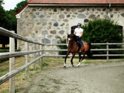 Paddock komplett med grind 20x48m><noscript><img width=