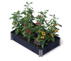 Pallkrage Svart 80x120cm Helpallsformat><noscript><img width=