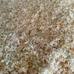 Perenner Mix i 13cm kruka><noscript><img width=