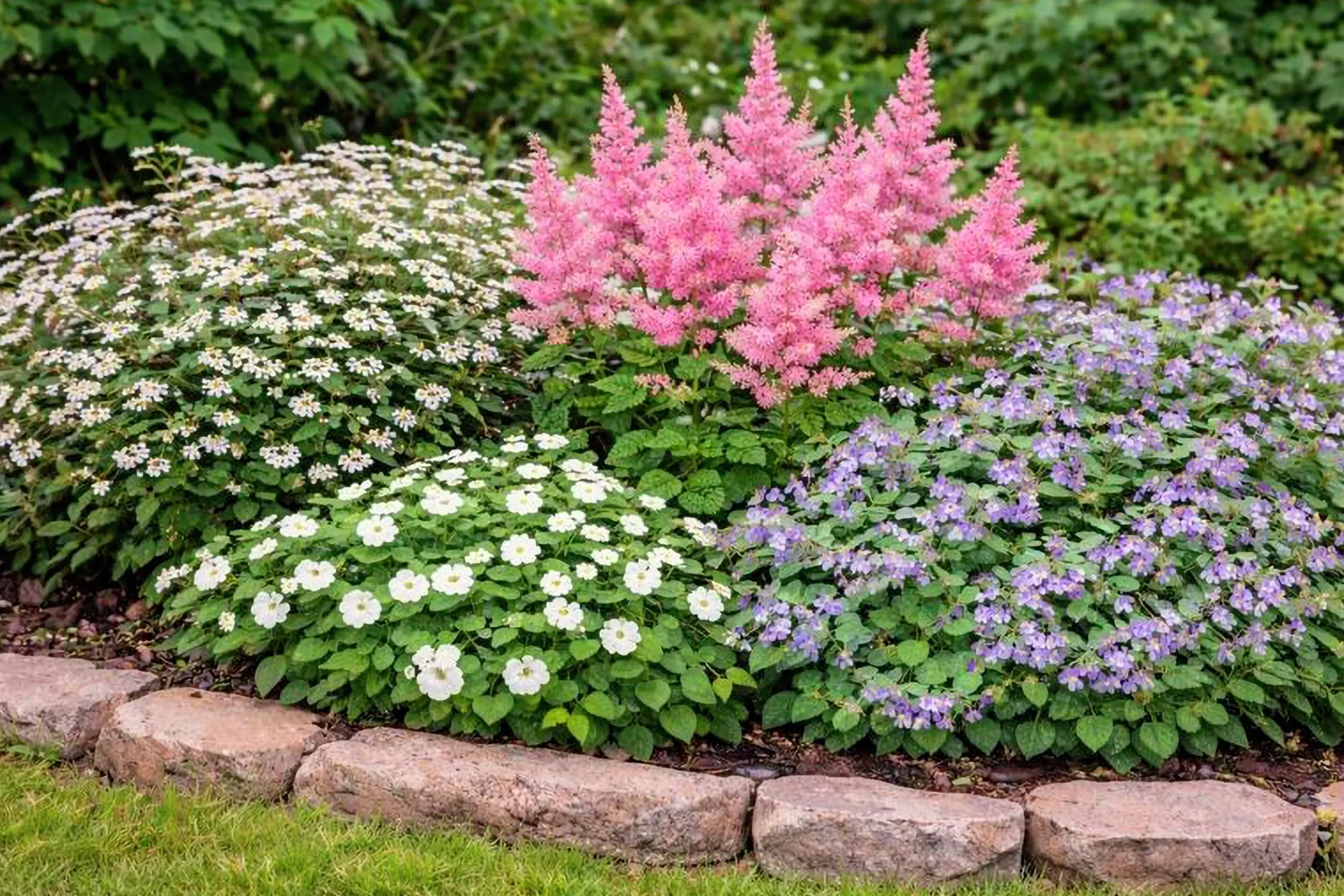 Perennpaket för Skuggigt läge 56st växter>Omnia garden Online