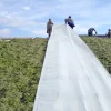 Plansilofolie 10x30m 115my>Poly-produkter Online
